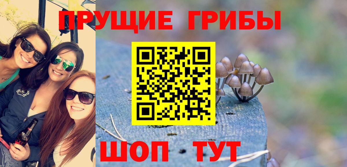 Воскресенск  Галлюциногенные грибы ЛСД  закладки  Вход с VPN 